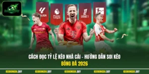 Cách đọc tỷ lệ kèo nhà cái