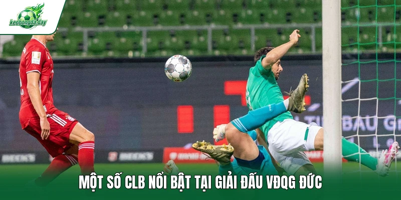 Một số CLB nổi bật tại giải đấu VĐQG Đức