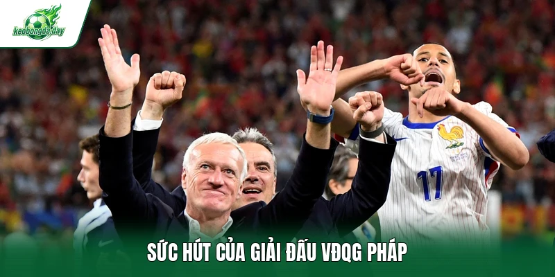 Sức hút của giải đấu VĐQG Pháp